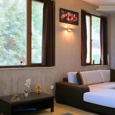 силва - Silva *