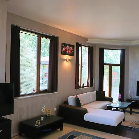 силва - Silva *